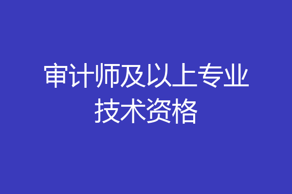 审计师及以上专业技术资格