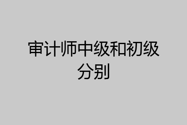 审计师中级和初级分别