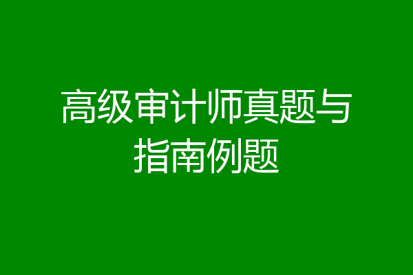 高级审计师真题与指南例题