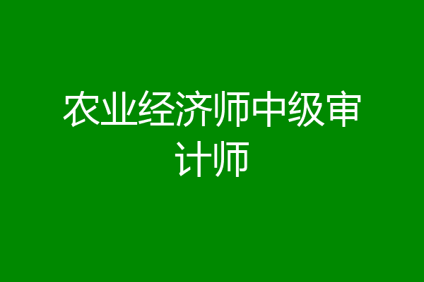 农业经济师中级审计师