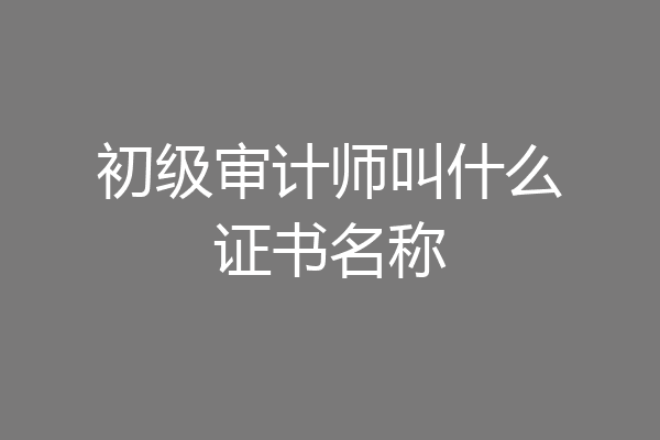 初级审计师叫什么证书名称