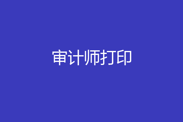 审计师打印