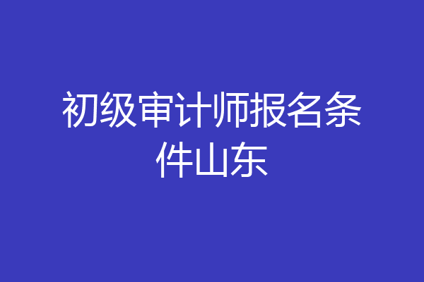 初级审计师报名条件山东