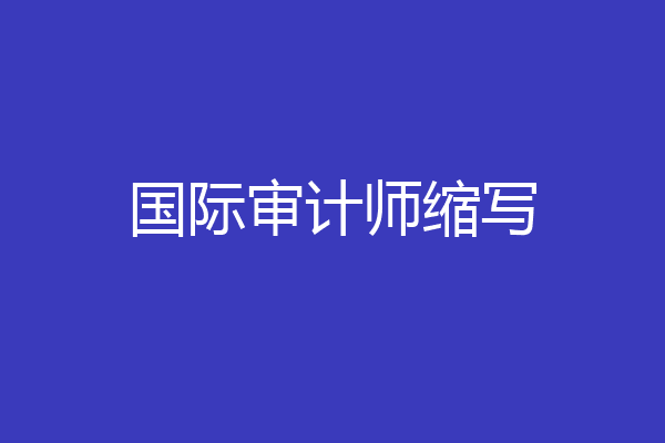 国际审计师缩写