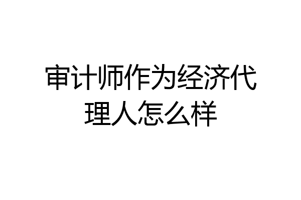 审计师作为经济代理人怎么样