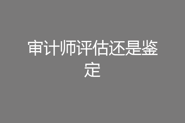 审计师评估还是鉴定