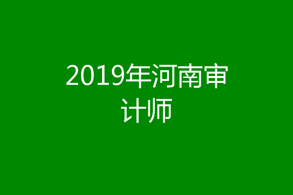 2019年河南审计师