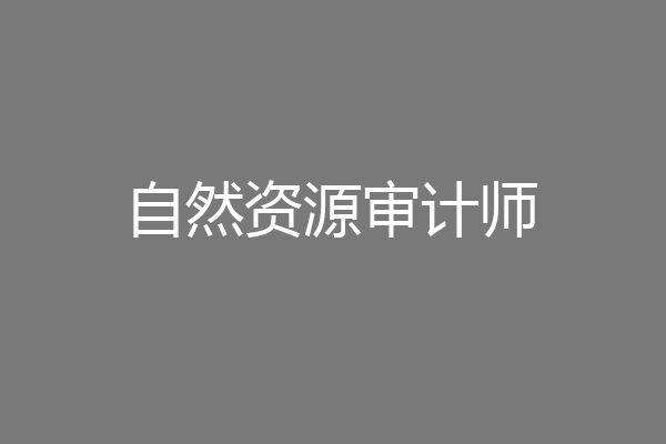 自然资源审计师