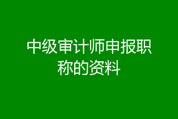 中级审计师申报职称的资料