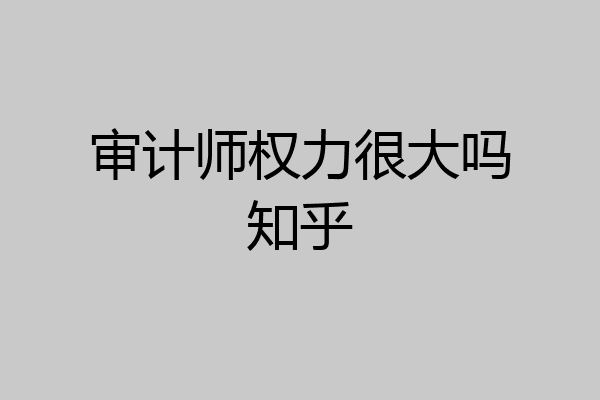 审计师权力很大吗知乎