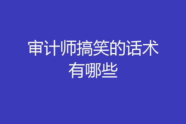 审计师搞笑的话术有哪些