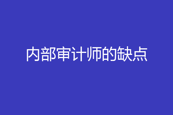 内部审计师的缺点