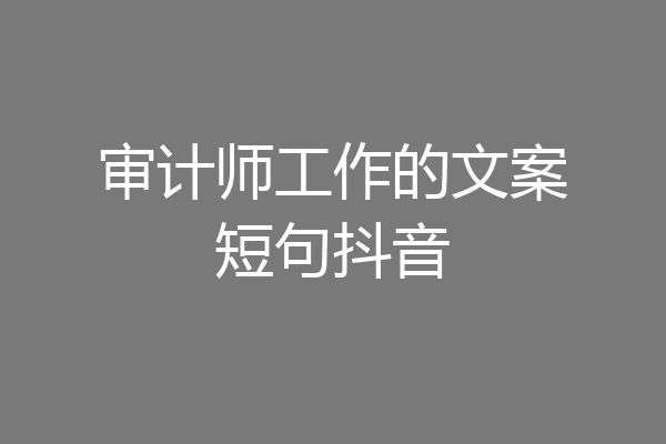 审计师工作的文案短句抖音