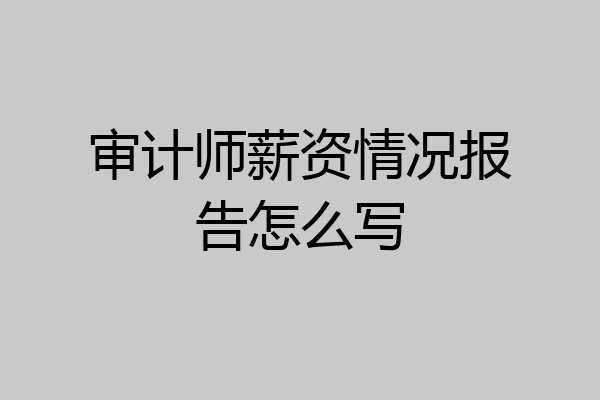 审计师薪资情况报告怎么写