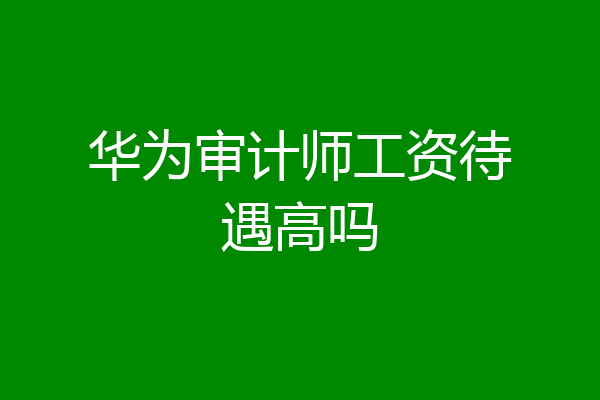 华为审计师工资待遇高吗