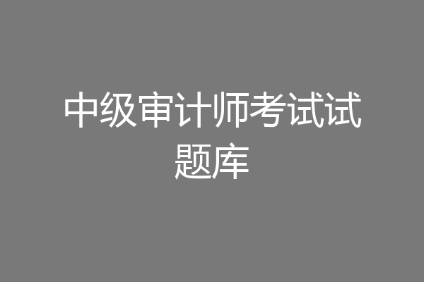 中级审计师考试试题库