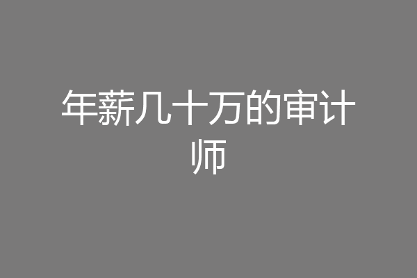 年薪几十万的审计师