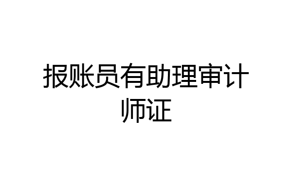 报账员有助理审计师证