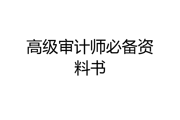 高级审计师必备资料书