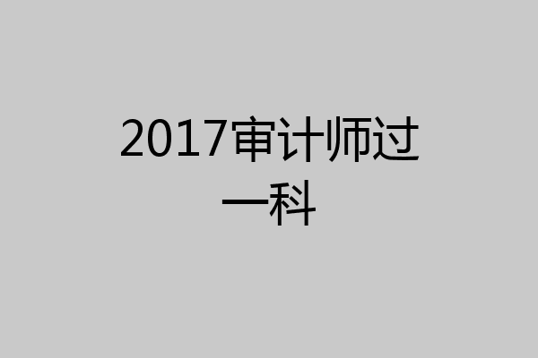 2017审计师过一科