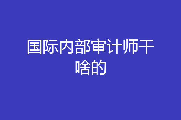 国际内部审计师干啥的
