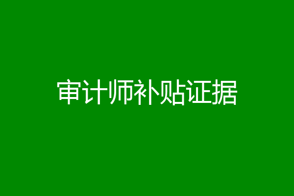 审计师补贴证据
