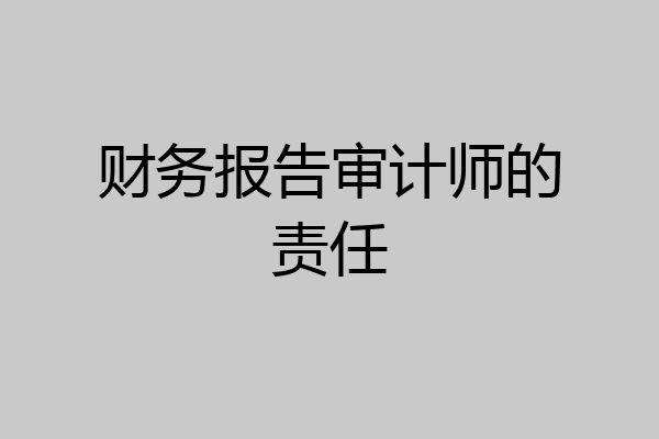 财务报告审计师的责任