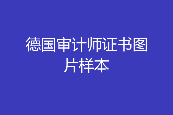 德国审计师证书图片样本