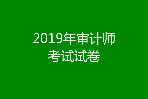 2019年审计师考试试卷