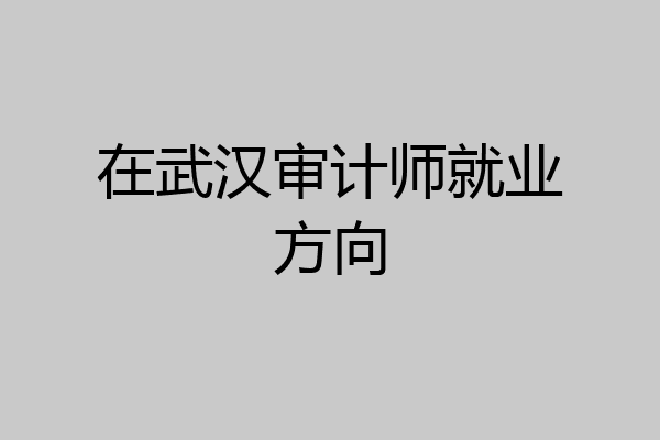在武汉审计师就业方向