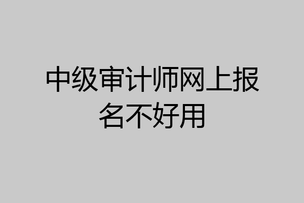 中级审计师网上报名不好用