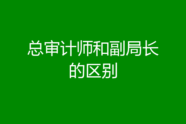 总审计师和副局长的区别