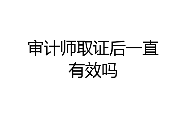 审计师取证后一直有效吗