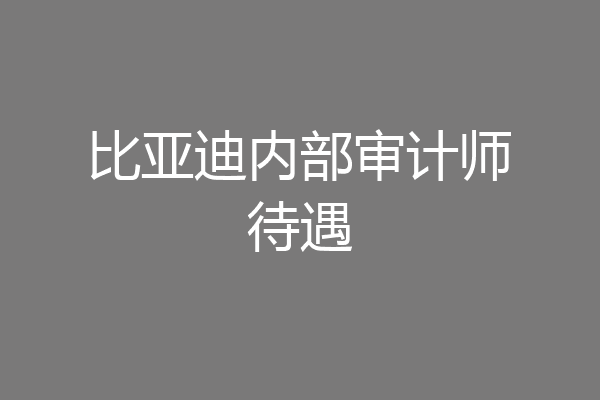 比亚迪内部审计师待遇