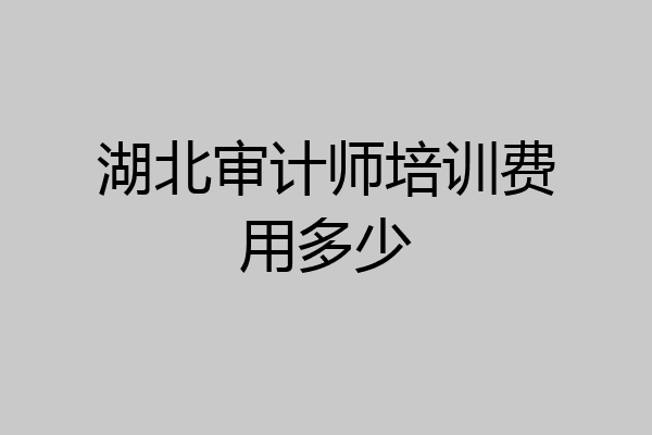 湖北审计师培训费用多少