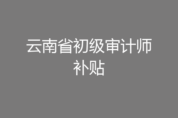 云南省初级审计师补贴