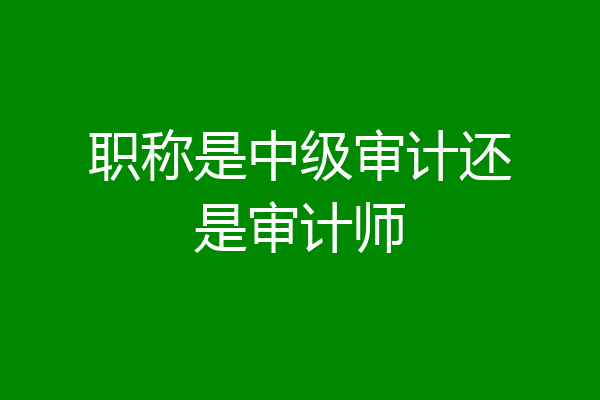 职称是中级审计还是审计师