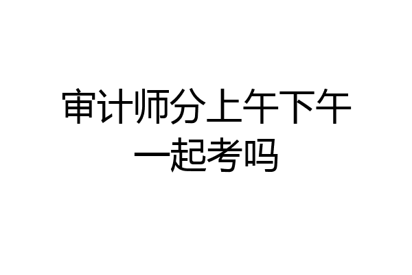 审计师分上午下午一起考吗
