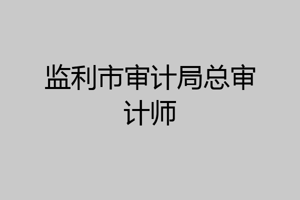 监利市审计局总审计师