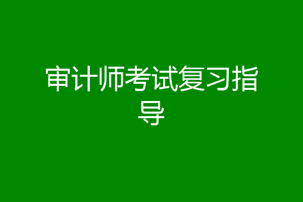 审计师考试复习指导