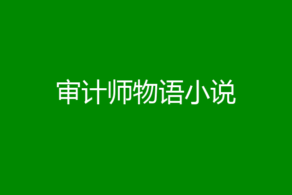 审计师物语小说