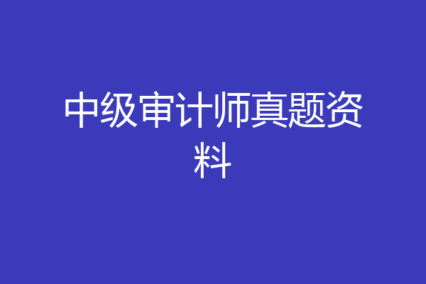 中级审计师真题资料