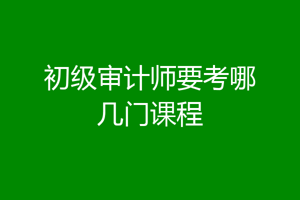 初级审计师要考哪几门课程