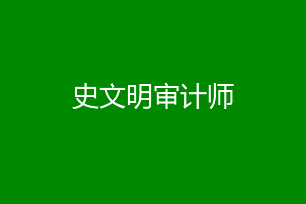 史文明审计师