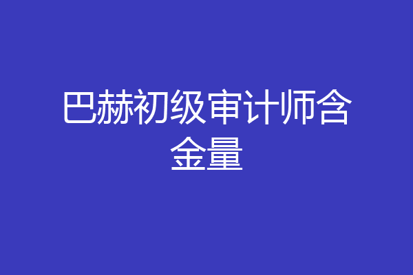 巴赫初级审计师含金量