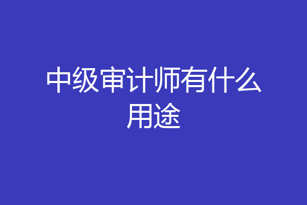 中级审计师有什么用途