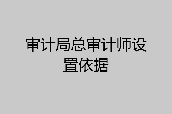 审计局总审计师设置依据