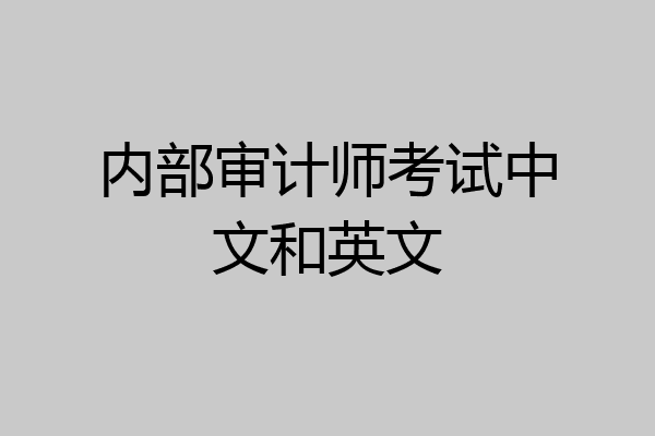 内部审计师考试中文和英文