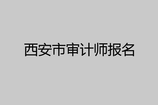 西安市审计师报名