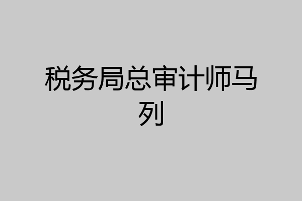 税务局总审计师马列